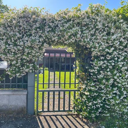 Garda Art&Garden Villa Volta Mantovana Buitenkant foto