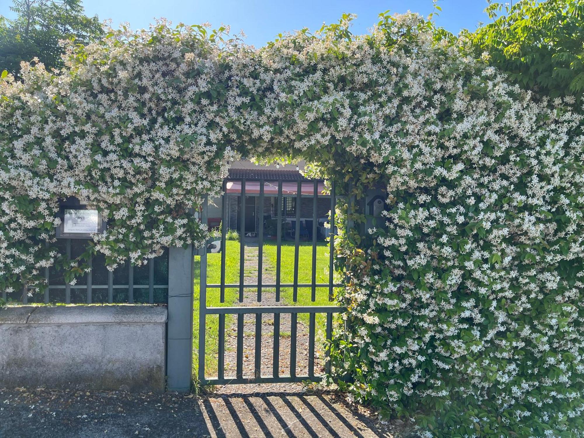 Garda Art&Garden Villa Volta Mantovana Buitenkant foto