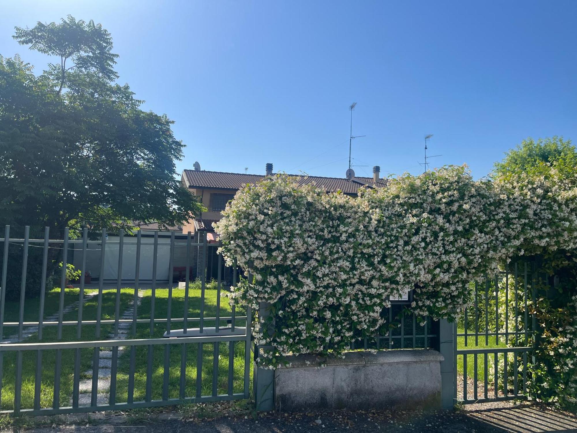 Garda Art&Garden Villa Volta Mantovana Buitenkant foto