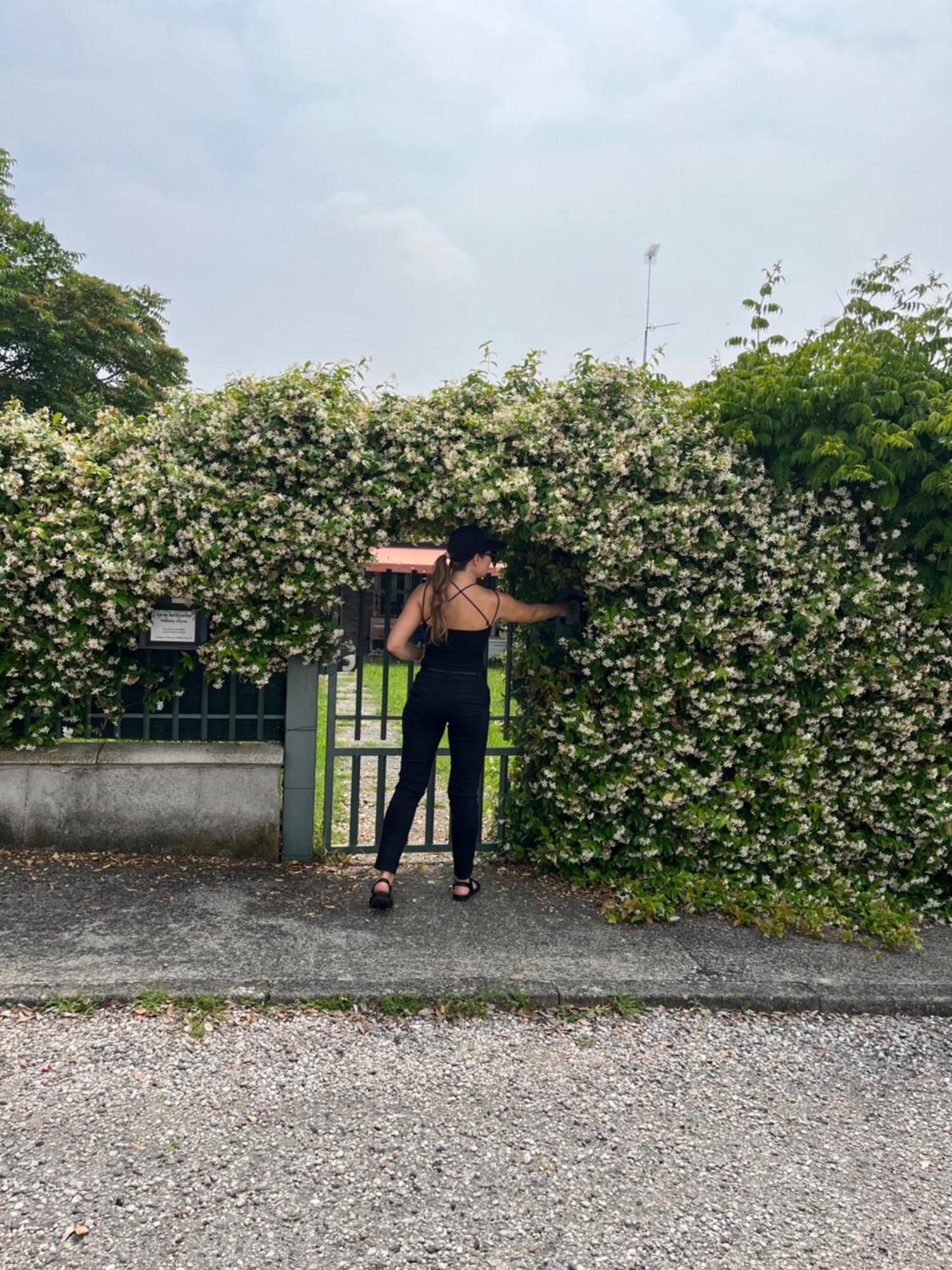 Garda Art&Garden Villa Volta Mantovana Buitenkant foto